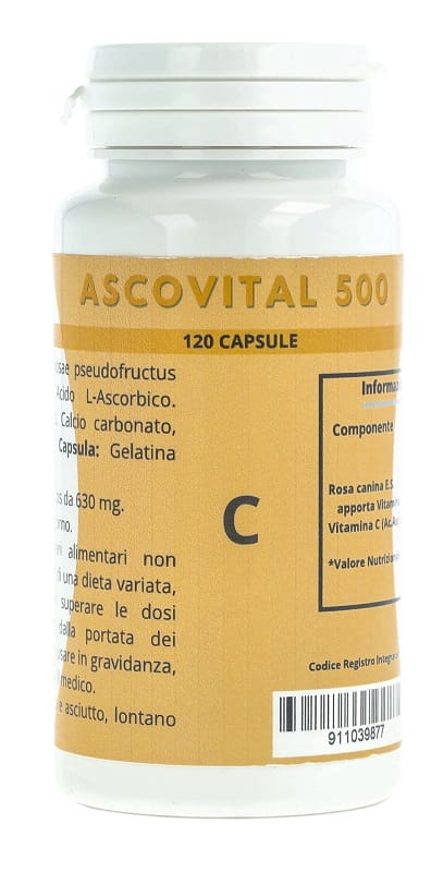 ASCOVITAL 500 120 CAPSULE