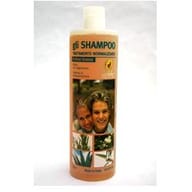 BELLESSERE SHAMPOO FORFORA GRASSA CON OLI ESSENZIALI NORMALIZZANTE BIO 1 LITRO