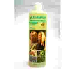 BELLESSERE SHAMPOO CAPELLI SECCHI CON OLI ESSENZIALI BIO 1 LITRO