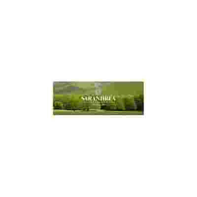 ARTIGLIO DEL DIAVOLO TINTURA MADRE 100ML