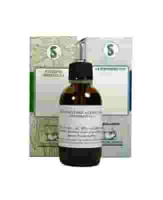 BARDANA 60ML TINTURA MADRE