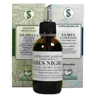 BOSWELLIA 100ML TINTURA MADRE