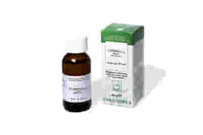 Tintura Madre di Clorofilla da Urtica dioica, 60ml