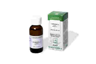 CLOROFILLA 60ML TINTURA MADRE