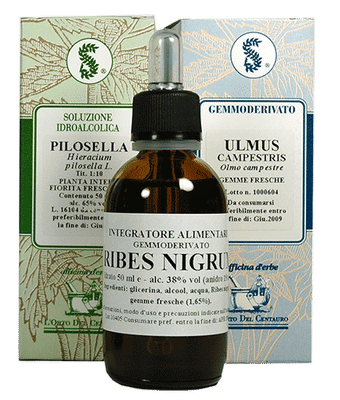 FIENO GRECO 100ML TINTURA MADRE