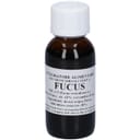FUCUS 60ML TINTURA MADRE