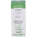 GINKGO BILOBA 100ML TINTURA MADRE