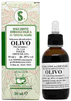 OLIVO 60ML TINTURA MADRE