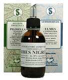 PINO MUGO 100ML TINTURA MADRE