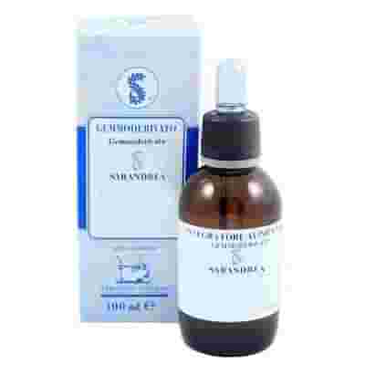 RIBES NERO 100ML TINTURA MADRE