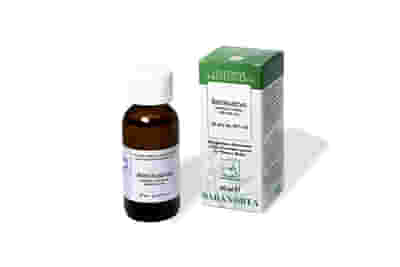 ROSMARINO 100ML TINTURA MADRE