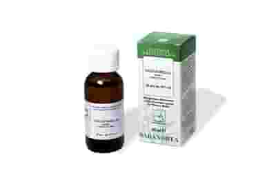 SALSAPARIGLIA 100ML TINTURA MADRE