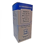 RIBES NIGRUM 60 ML MACERATO GLICERICO