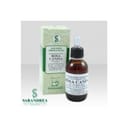 ROSA CANINA 100 ML MACERATO GLICERICO