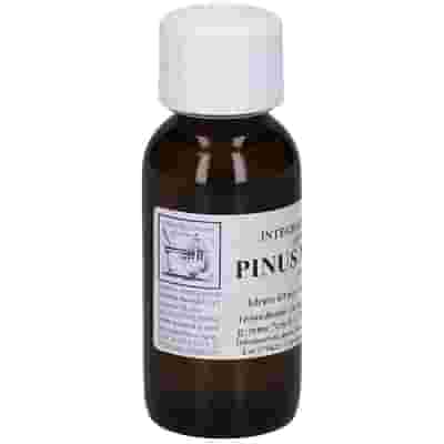 PINUS MONTANA 60 ML MACERATO GLICERICO