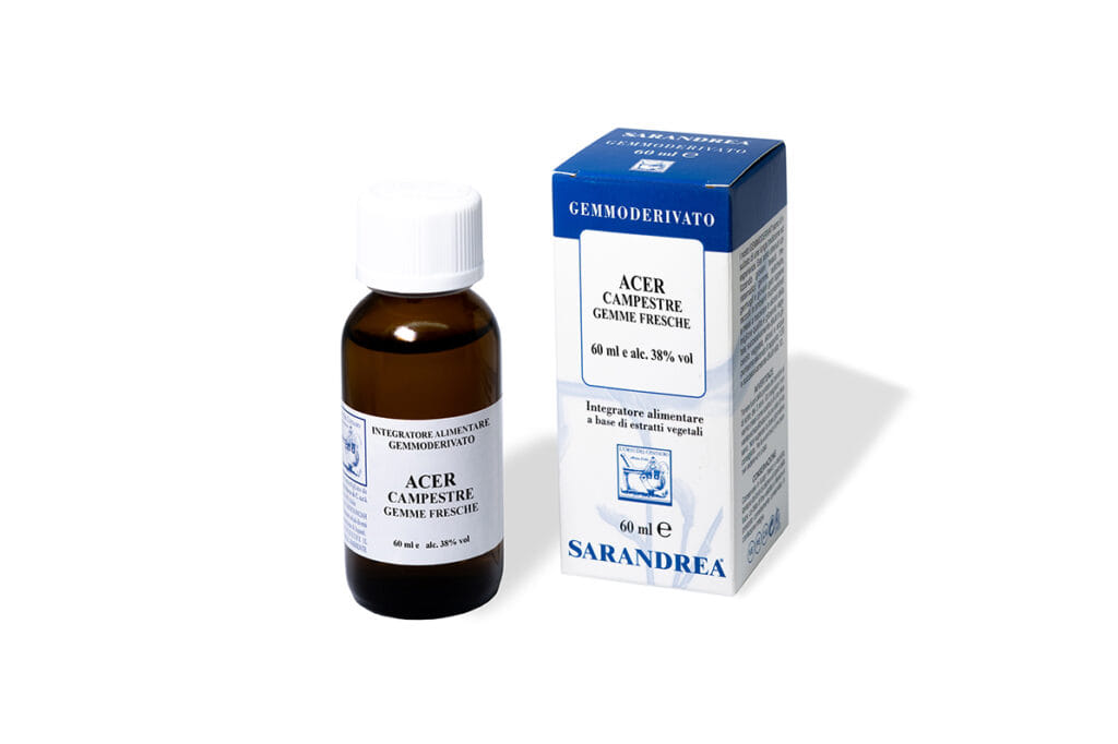Macerato Glicerico Acer Campestre da gemme fresche, 60ml