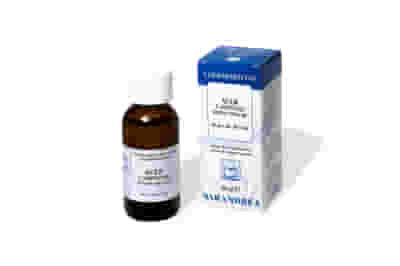 Macerato Glicerico Acer Campestre da gemme fresche, 60ml