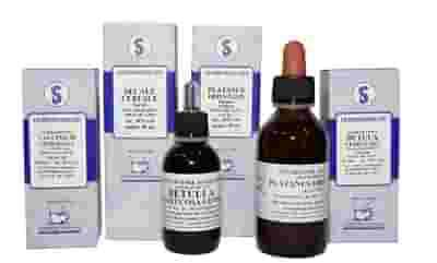 CEDRUS LIBANI 100 ML MACERATO GLICERICO