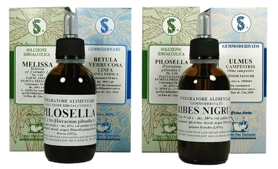 QUERCUS PEDUN 100 ML MACERATO GLICERICO QUERCUS PEDUN 100 ML MACERATO GLICERICO