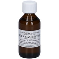 ACER CAMPESTRE 100 ML MACERATO GLICERICO
