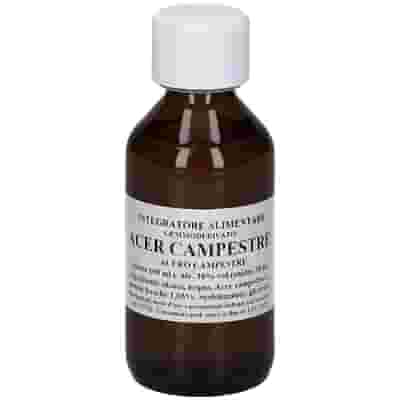 ACER CAMPESTRE 100 ML MACERATO GLICERICO