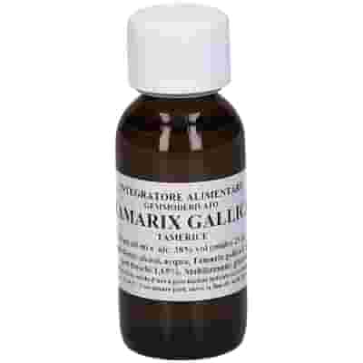TAMARIX GALLICA 60 ML MACERATO GLICERICO
