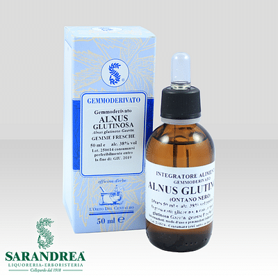 ALNUS GLUTINOSA 100 ML MACERATO GLICERICO