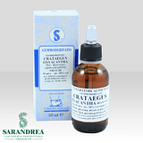 CRATAEGUS OXYACANTHA 100 ML MACERATO GLICERICO