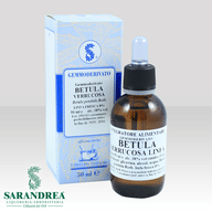 BETULA VERRUCOSA LINFA 60 ML MACERATO GLICERICO