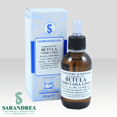 BETULA VERRUCOSA LINFA 60 ML MACERATO GLICERICO