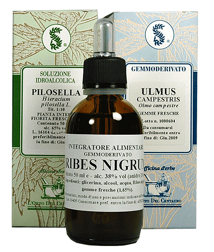 Rubus Fruticosus 100 Ml Macerato Glicerico