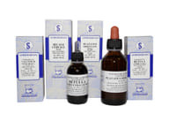 SEQUOIA GIGANTEA 100 ML MACERATO GLICERICO