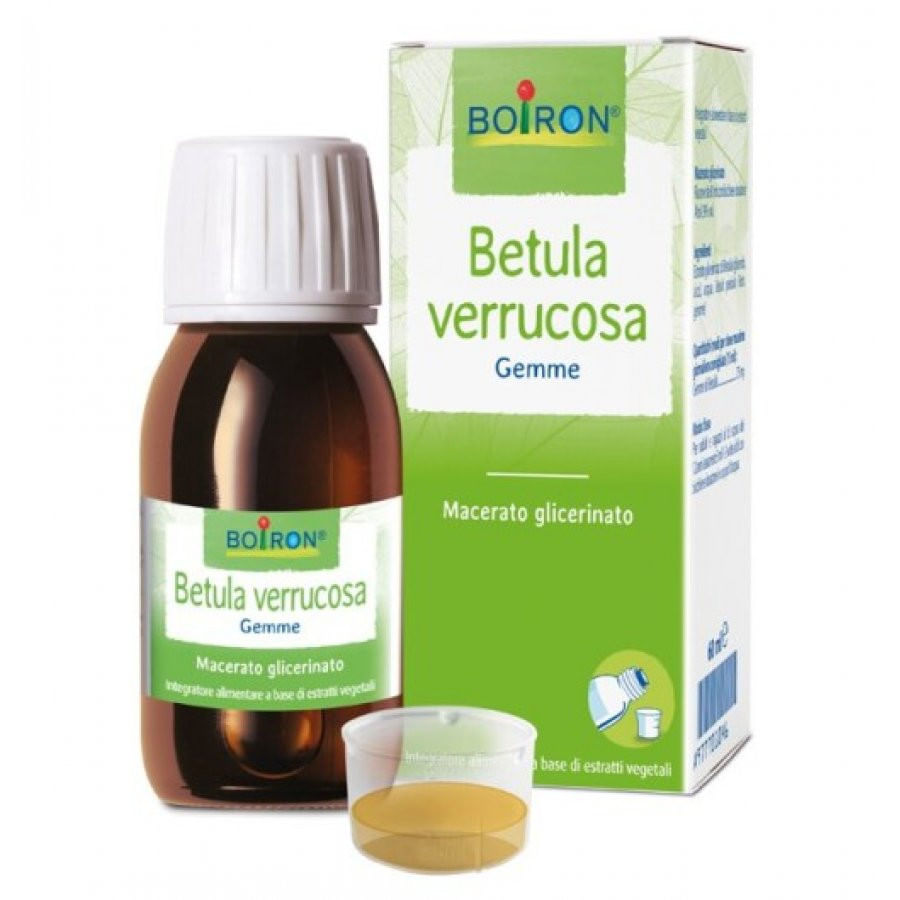 BETULA VERRUCOSA GEMME 100 ML MACERATO GLICERICO