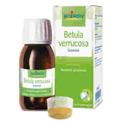 BETULA VERRUCOSA GEMME 100 ML MACERATO GLICERICO