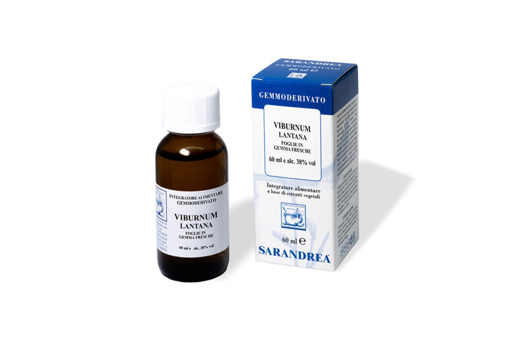 Viburnum Lantana 1000 Ml Macerato Glicerico