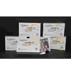 Integratore Ginkgosan 400mg per la circolazione, 60 compresse