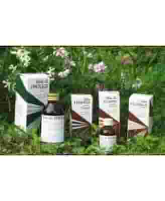 RAEMIL OLIO POLMONARIA 25 ML