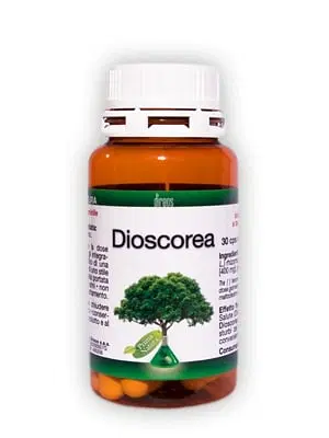 DIOSCOREA 30 CAPSULE 500 MG DIOSCOREA 30 CAPSULE 500 MG