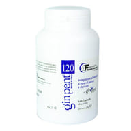 GINPENT 120 CAPSULE 400 MG