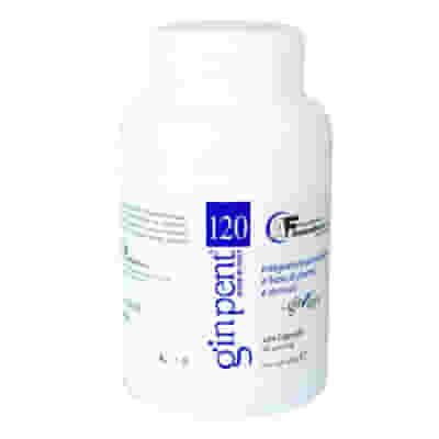 GINPENT 120 CAPSULE 400 MG