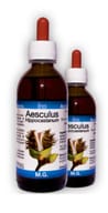 AESCULUS HIPPOCASTANUM MAGERATO GLICERIGO 150 ML