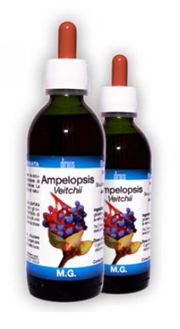 AMPELOPSIS VEITCHII MACERATO GLICERICO 150 ML