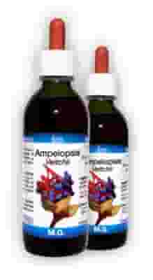 AMPELOPSIS VEITCHII MACERATO GLICERICO 150 ML