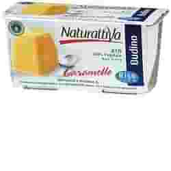 NATURATTIVA BUDINO RISO CARAMELLO