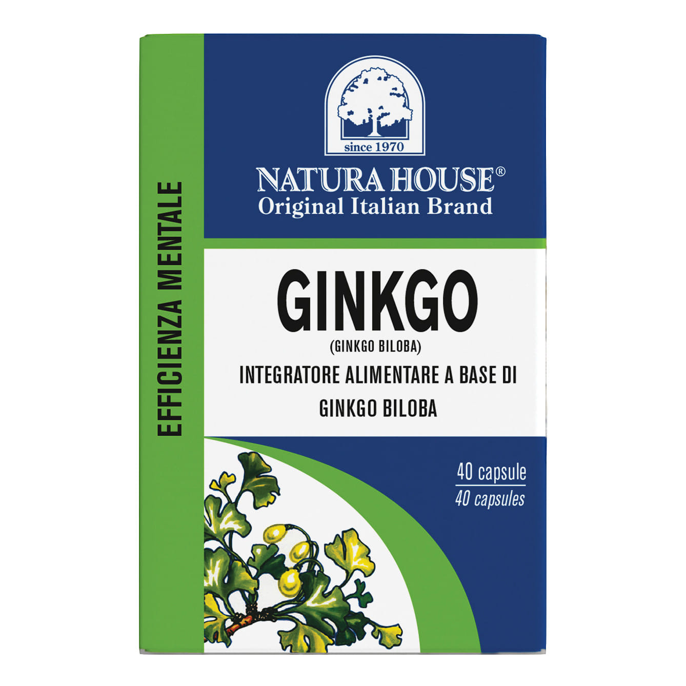 NH GINKGO BILOBA 40 CAPSULE
