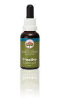 CREATIVE ESS 30ML