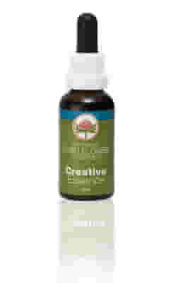 CREATIVE ESS 30ML