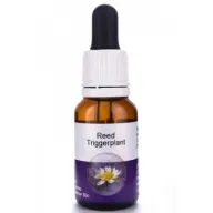 REED TRIGGER PLANT 15ML