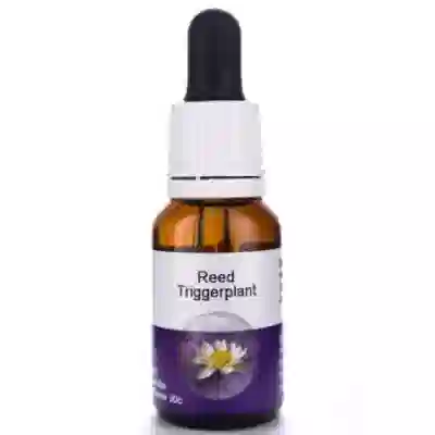 REED TRIGGER PLANT 15ML
