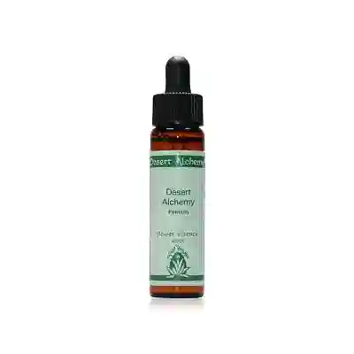 CARDON 10ML